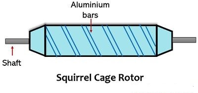 squirrel cage rotor